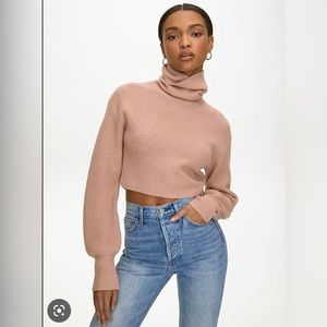 Aritzia Cropped Rebecca Sweater